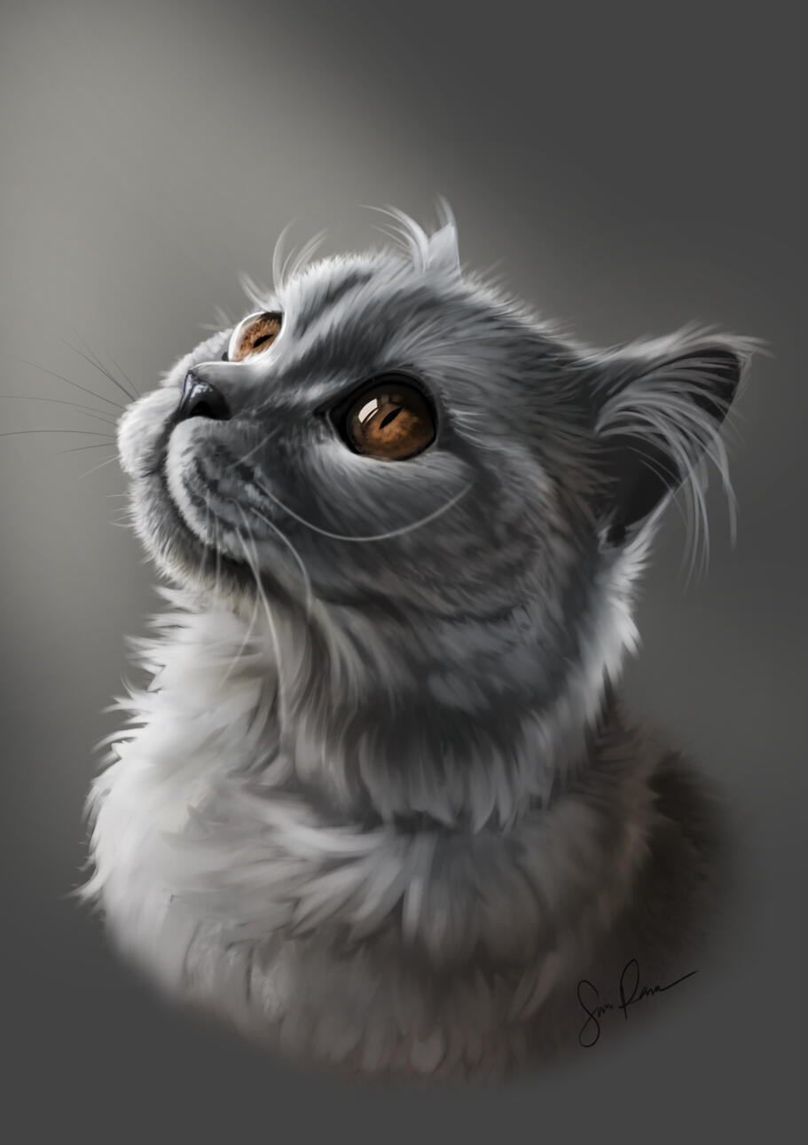 Digitales Tierporträt, A4